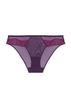 Culotte - Violet Euphoria