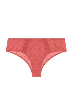 Shorty - Rose Texas