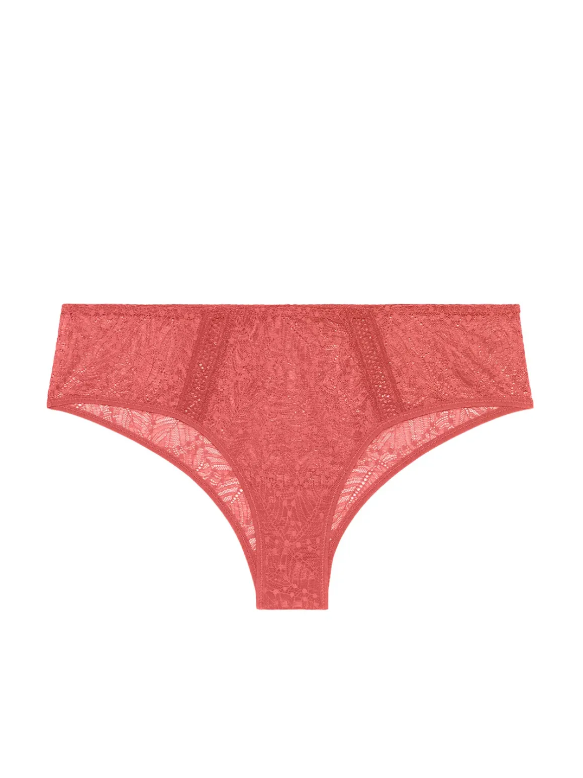 Shorty - Rose Texas