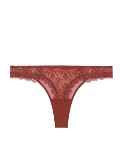 Tanga - Terre de Sienne