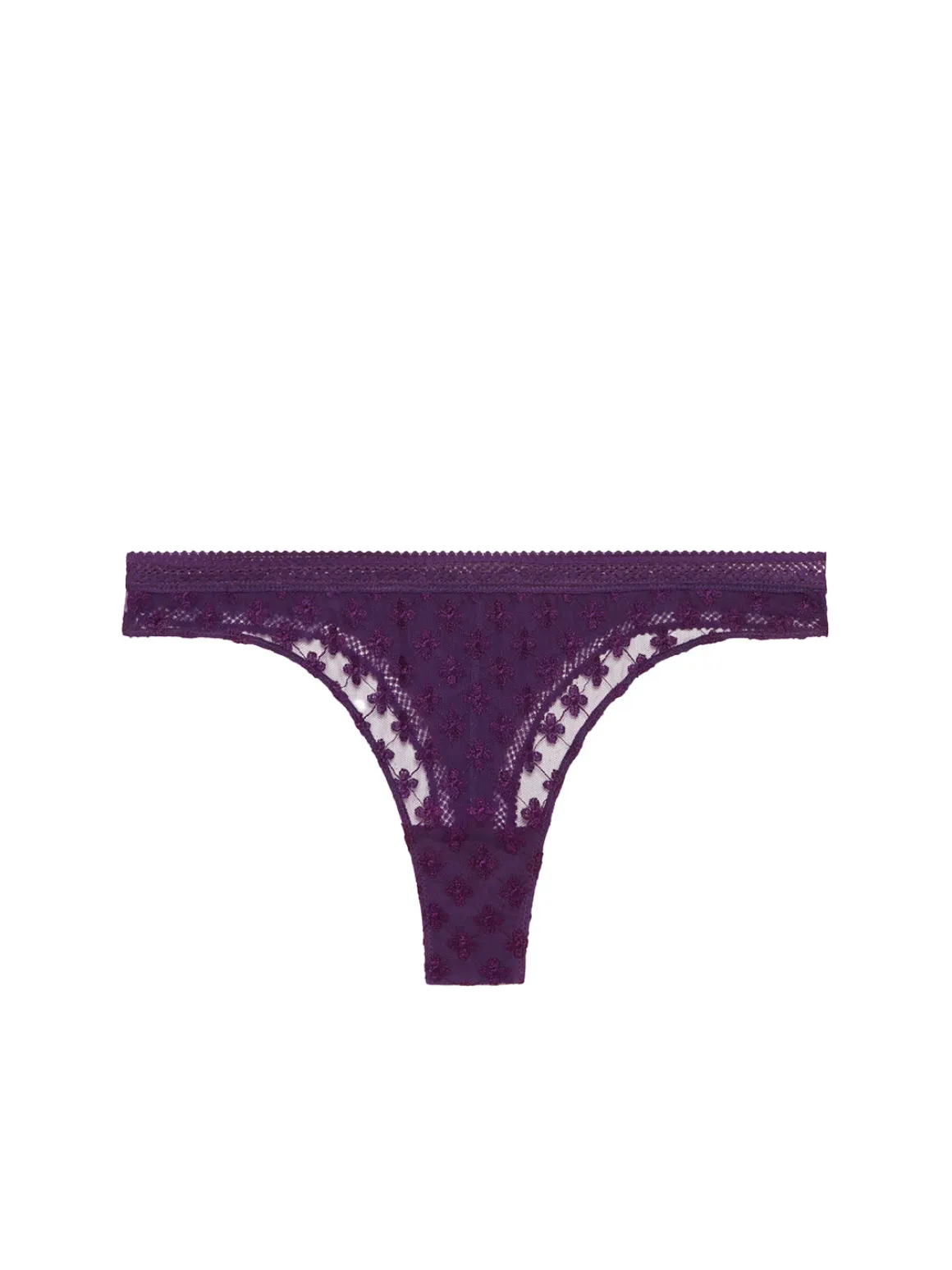 Tanga - Violet Euphoria